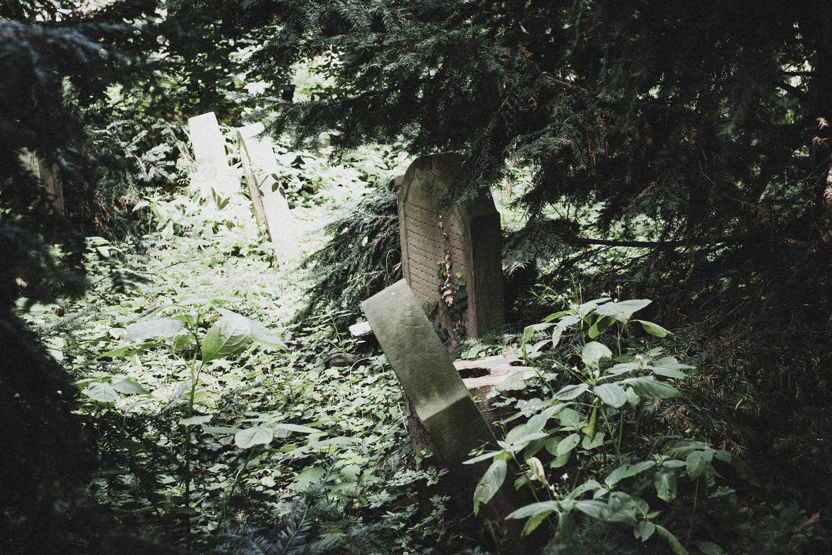 Hanau, Jüdischer Friedhof